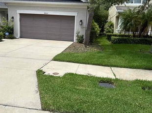 Richard C.'s turf care service result