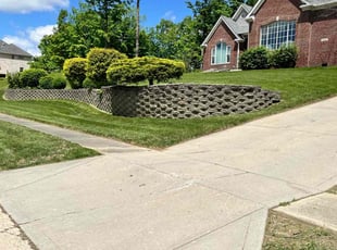 John N.'s turf care service result