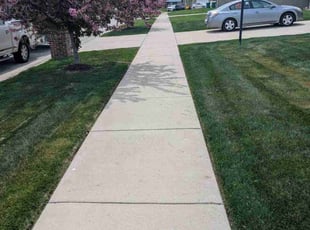 Roy B.'s grass cutting service result