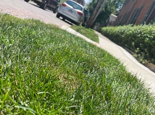 Amanda K.'s lawn care services service result