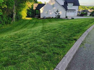 Cheryl E.'s lawn service service result