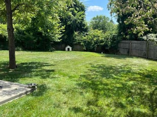 Selwyn S.'s turf care service result