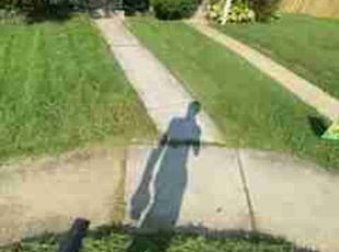 Scott K.'s grass maintenance service result