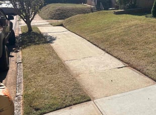 Brent S.'s turf maintenance service result