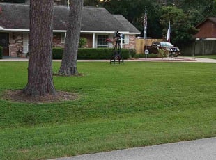 Doug J.'s lawn maintenance service result