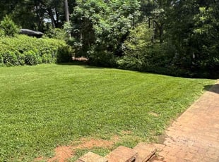 Marissa W.'s lawn care services service result