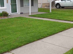 Catherine L.'s lawn care services service result