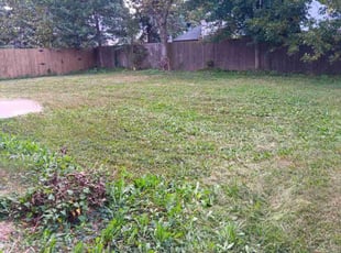 David D.'s grass cutting service result