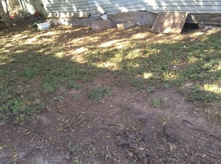 Alan K.'s Bush Trimming service result