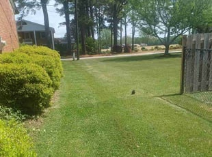 Obrien M.'s turf maintenance service result