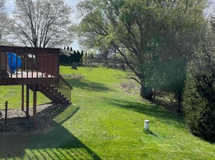 Molly M.'s turf care service result