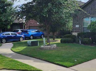 Cheryl Z.'s lawn service service result