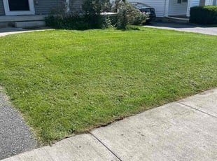 Donna L.'s lawn care services service result