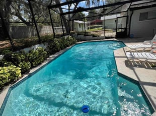 Alex U.'s Pool Cleaning service result