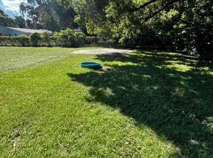 Michaela M.'s lawn service service result