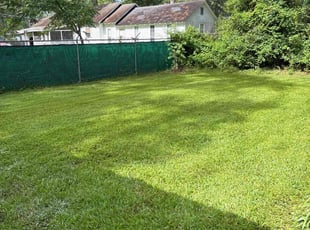 Edward J.'s lawn service service result