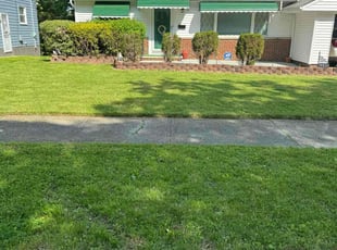 Clinton S.'s lawn service service result