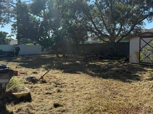 Dustin R.'s lawn service service result