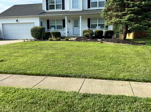 Mary M.'s grass cutting service result