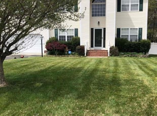 Lee B.'s residential landscaping service result