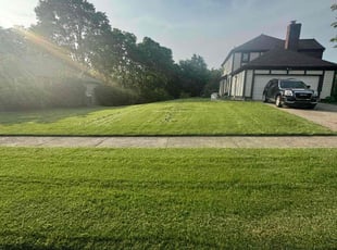 Ken N.'s lawn maintenance service result