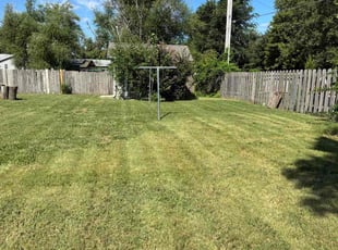 Abby D.'s turf maintenance service result