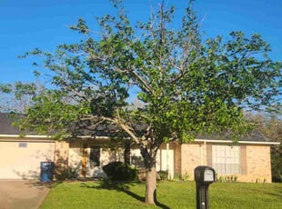 David S.'s Cleanup service result