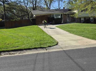 Shayne B.'s lawn maintenance service result