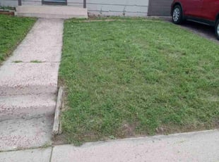 Jerry L.'s lawn care service result