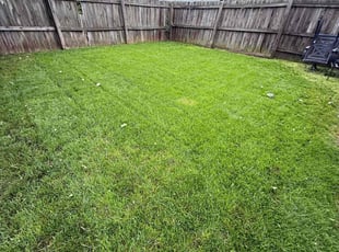 Danielle H.'s lawn service service result