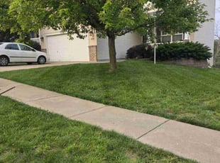 Sherry S.'s turf care service result