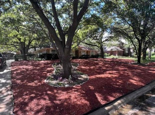 Linda N.'s lawn care services service result
