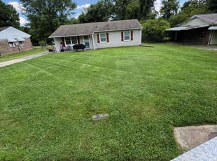 Dreylen L.'s turf care service result
