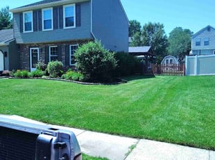 Diana K.'s turf care service result