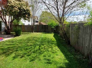 Gregory B.'s lawn care service result