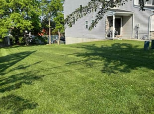 Melinda S.'s turf care service result