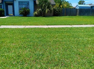 Heather M.'s grass maintenance service result