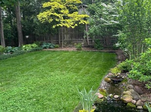 Rick K.'s grass maintenance service result