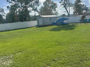 Denece T.'s lawn maintenance service result