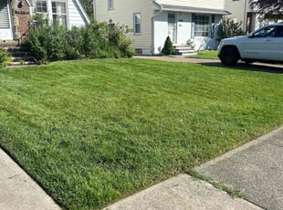Robert Y.'s turf maintenance service result