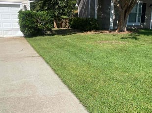Rosie N.'s lawn care service result