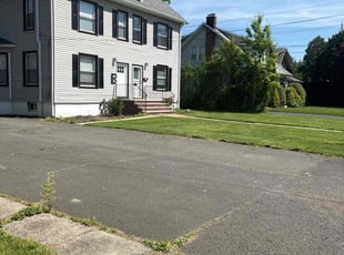 Matt B.'s grass maintenance service result