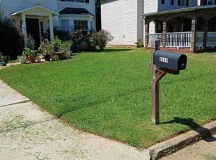Roxanne T.'s lawn service service result