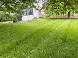 Crystal O.'s grass cutting service result