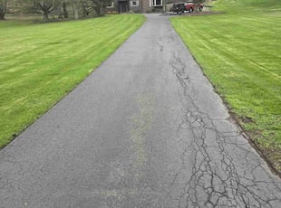 Juan A.'s yard service service result