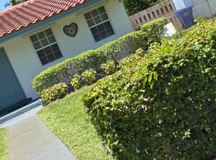 Mike B.'s lawn maintenance service result