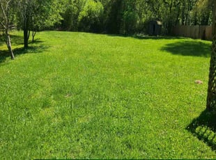 Cathy C.'s gardening service service result