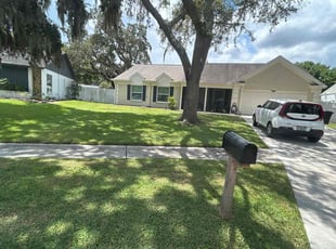 Doug R.'s lawn service service result