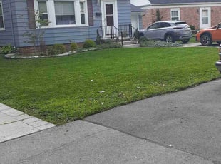 Mike P.'s lawn care service result