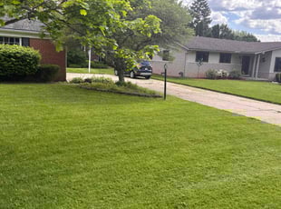 Shirley M.'s grass cutting service result
